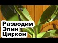 как разводить эпин и циркон для обработки орхидей