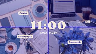 Timer Study 11 minutes - Focus, discipline and organization 