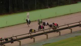 HVL MON 22 JUN 20 R10