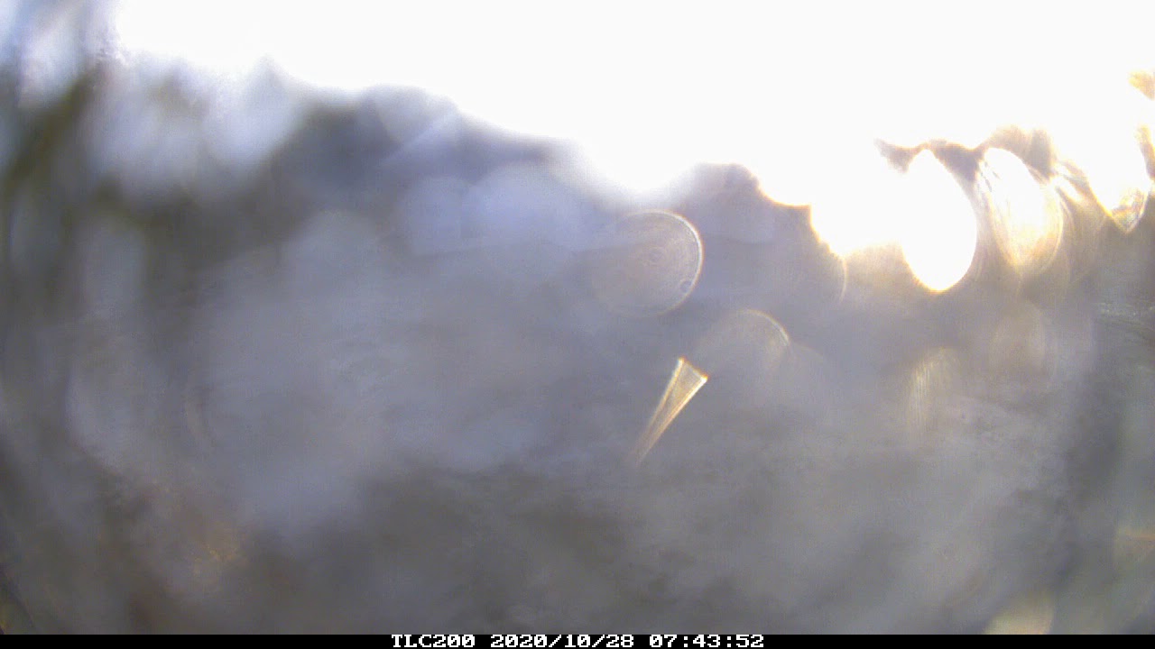 Henry Meiners Rd. Build with Brinno BBC100 Time Lapse Camera