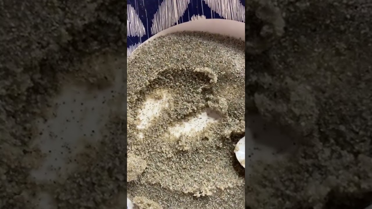 Fiji water wet natural sand chewing ASMR! 