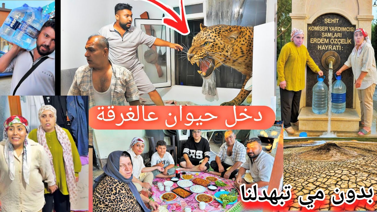 خفنا كتير دخل حيوان على غرفة بابا وماما//تبهدلنا من دون مي// طبخنا بامية