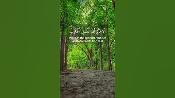 أَلَا بِذِكْرِ اللَّهِ تَطْمَئِنُّ الْقُلُوبُ | تلاوة خاشعة من سورة الرعد