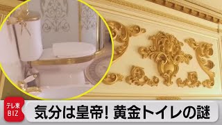 豪華なトイレは汚職のたまもの（2021年7月27日）