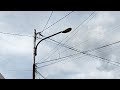 bright afternoon live streaming