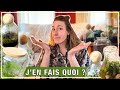 Vlog n 45 i on sauve 6 terrariums  quest ce que je vais faire de tout a  rempotage et nettoyage