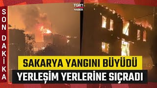 Sakaryada Orman Yangını Yerleşim Yerlerine Sıçradı Bir Mahalle Tahliye Edildi
