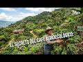El secreto del café agroecológico: Así se cuida la tierra - TvAgro por Juan Gonzalo Angel