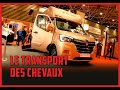 Le transport des chevaux