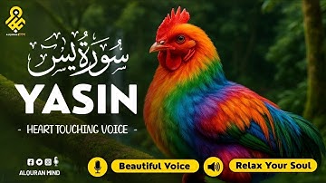 Comforting Surah Yaseen سورة يس for Night Healing, Emotional Pain, Fear ✦ Spiritual Remedy