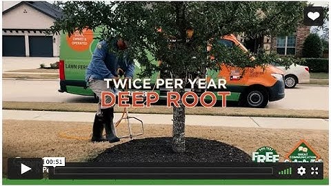 Deep Root Tree Fertilization