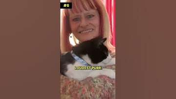 Ten Fast Facts About Tuxedo Cats! 🐈‍⬛  #shorts