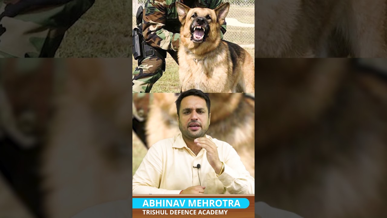 All about Remount Veterinary Corps (RVC) | Remount Veterinary Corps #shorts #indianarmy