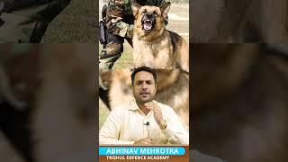 All About Remount Veterinary Corps rvc  Remount Veterinary Corps shorts indianarmy