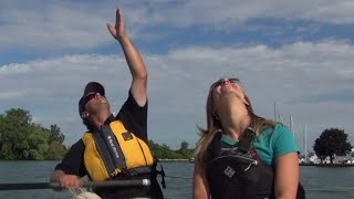 Back to Basics: How to read wind, waves while sailing