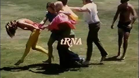 Protein Synthesis: an Epic on the Cellular Level (1971)