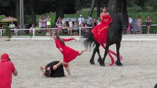 Koně pro Kapku naděje 2016: Vendulka Šponarová & Pieter Van Diphoorn & taneční skupina Impuls