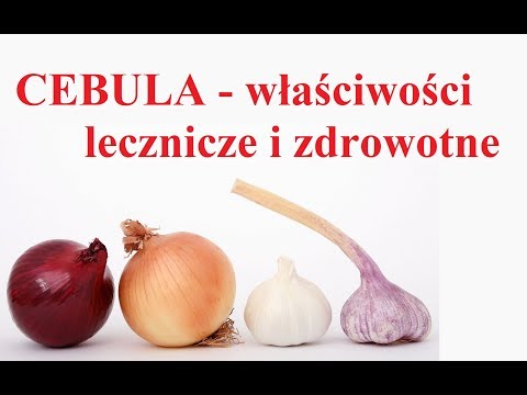 Wideo: Cebula Indyjska - Użyteczne Właściwości, Wskazania Do Stosowania