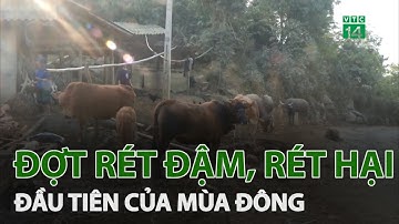Đợt rét đậm, rét hại đầu tiên mùa đông năm 2020 | VTC14