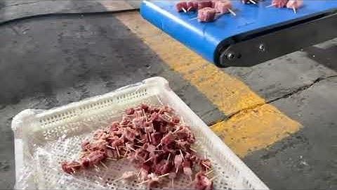 No187|Automatic meat skewer machine|string machine|barbecue machine|全自動穿串機|自動肉串機|Kebab machine|#food