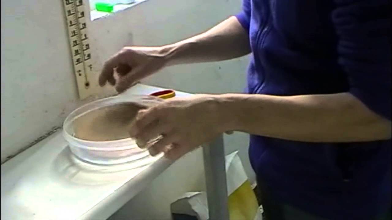 La cría de canarios (como hacer nidos para canarios con carton) - YouTube