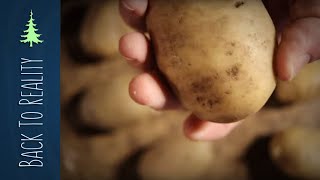 Storing Potatoes All Winter (Final Results: Mini Root Cellar Experiment)