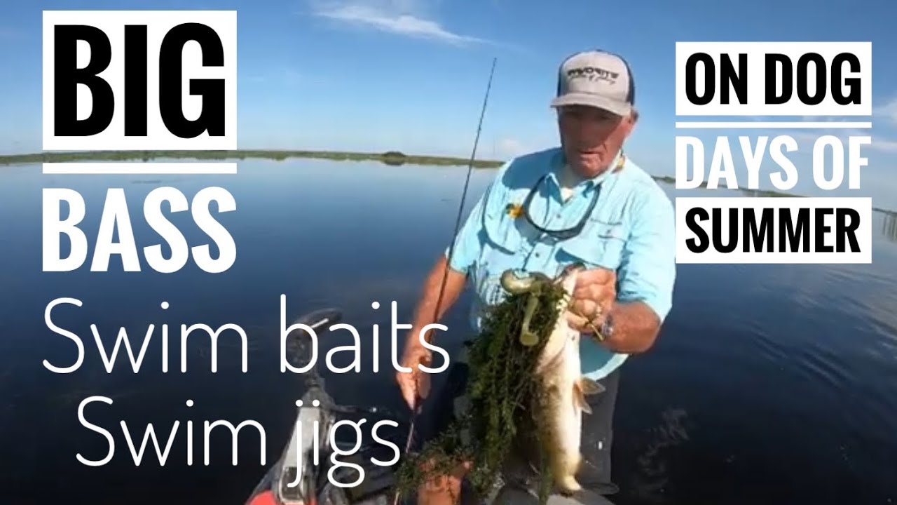 Big bass in the dog days of Summer with swim jigs and swim baits