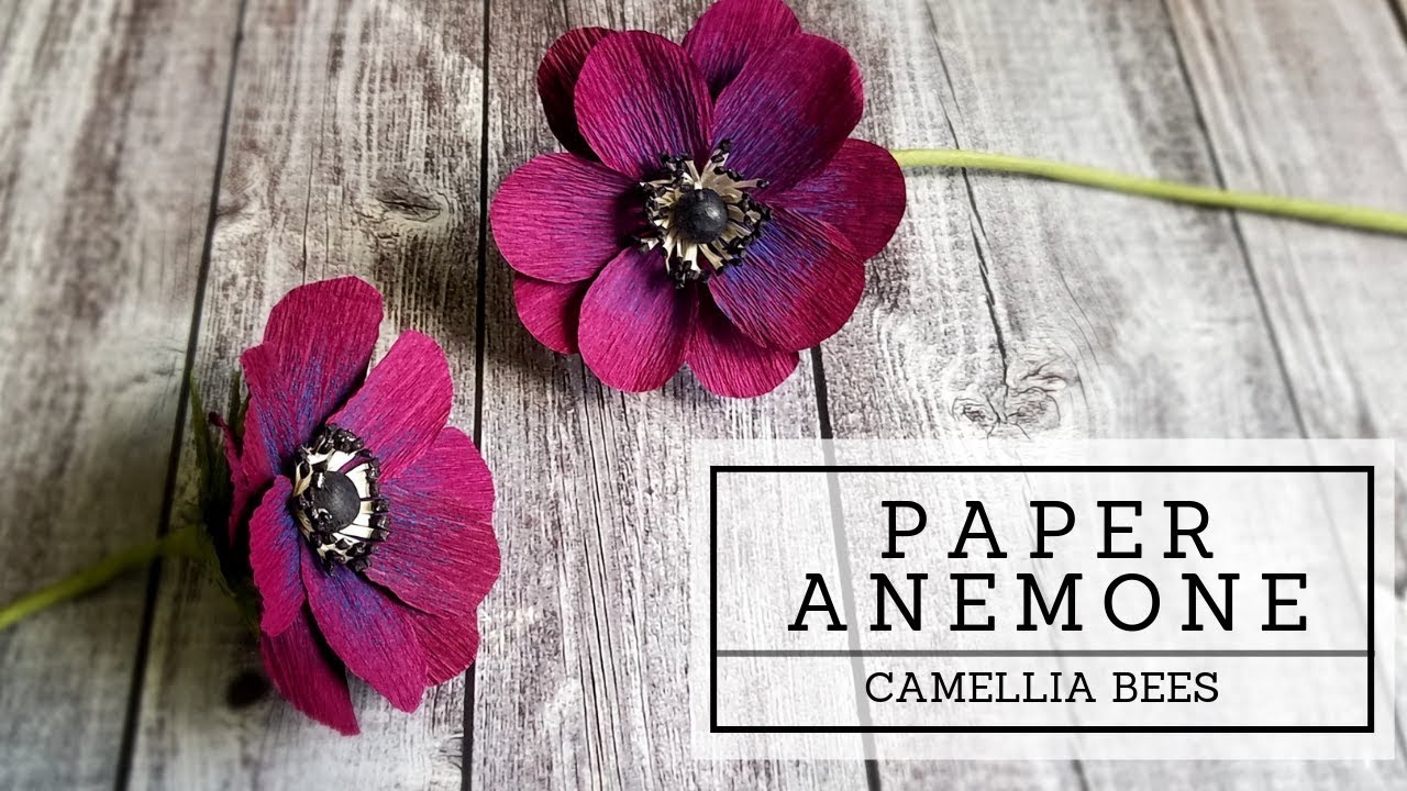 Anemone paper flower DIY  How to make crepe paper flowers