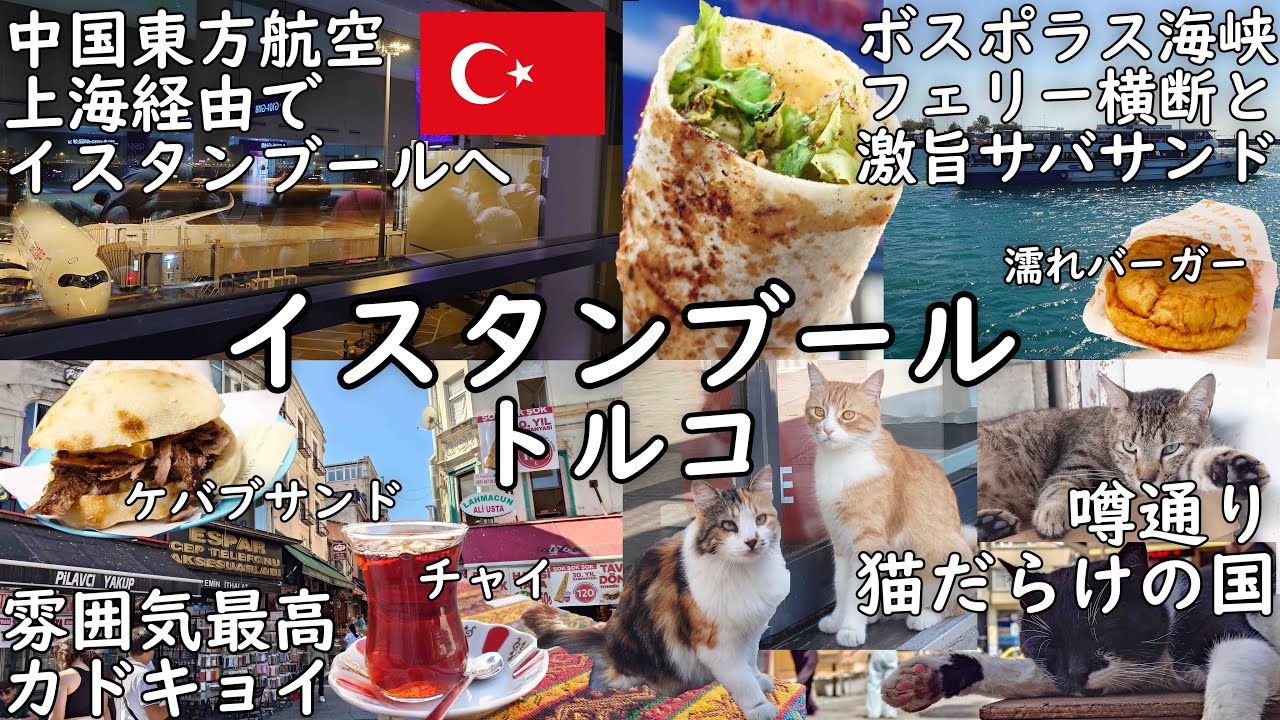 【トルコ】中国東方航空で上海経由イスタンブール！カドゥキョイ宿泊＆猫だらけ！絶品サバサンドや濡れバーガーも！【フェリー海峡横断】