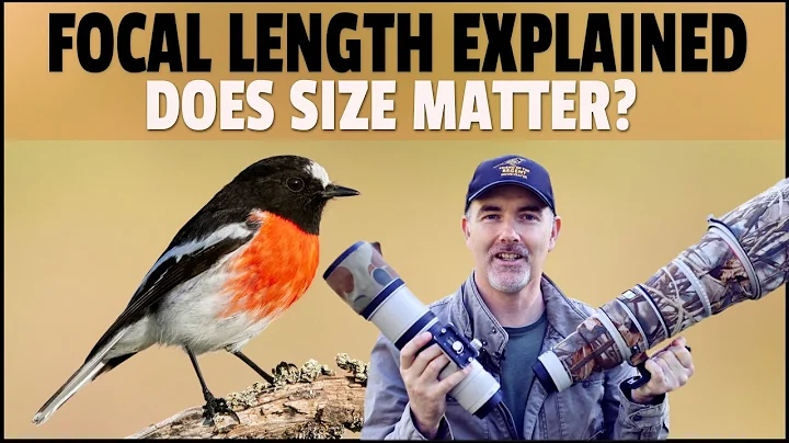 Focal Length Explained for Wildlife Photography - How Converters and Sensor Sizes Work in The Field - DayDayNews