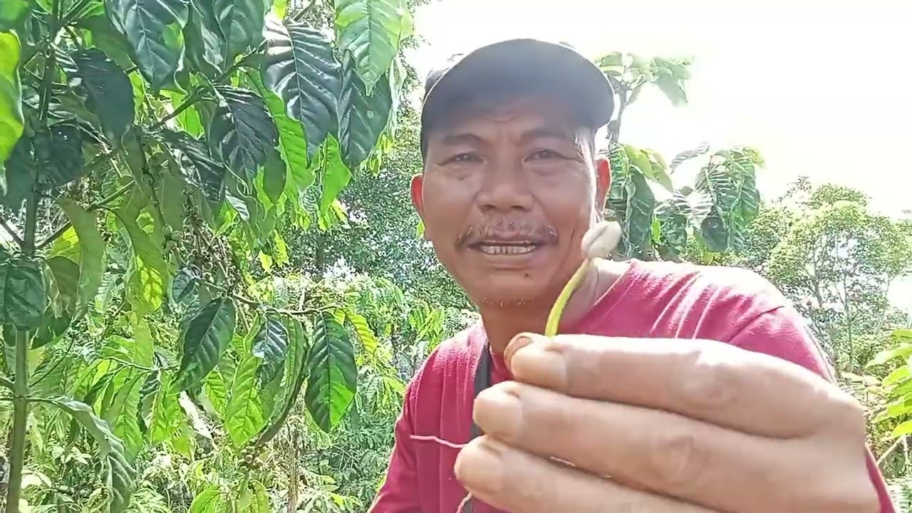 Tutorial bagi pemula banyak yg blum tau cara sambung yg tepet