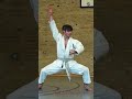 Andr bertel  karate  kata for martial arts