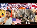 🇬🇧 BRIT Rugby Fan Reacts To 25 Animals You Can Only Find In AMERICA!