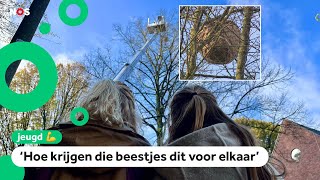 Pia En Sam Vonden Nest Van Giga-Wesp