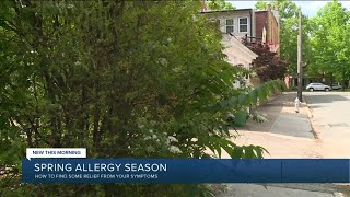 Allergy season in Richmond
