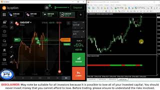 Binary Code Indicator Signal Live Trading