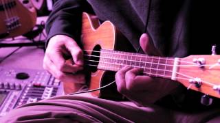 Video thumbnail of "Cranberries Ode to my Family  Ukulele"