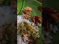 oru naadan lunch 😋 #homelymeals #homelyfeel #shortsviral