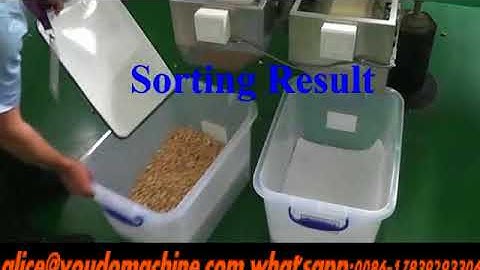 Cashew/nuts Color sorting machine