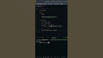 golang tutorial | create a server with go fiber  #shorts  #programming #golang #golangtutorial