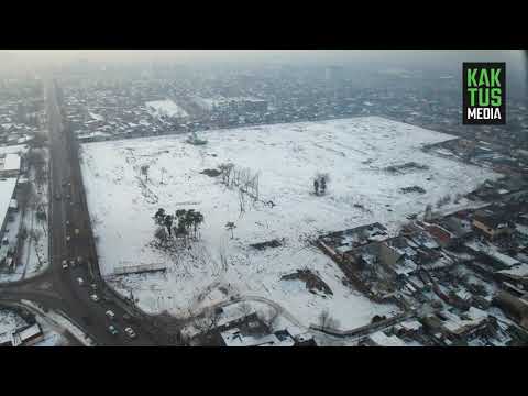 Video: 8-зонанын кулпунай өсүмдүктөрү - 8-зонанын бакчалары үчүн кулпунайды тандоо