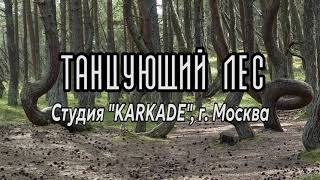 Танцующий лес - Студия «KARKADE», г.Москва //FernFlowerTribalFest 18//06//2023