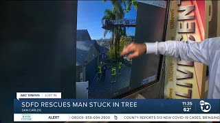 Crews rescue man stuck in tree