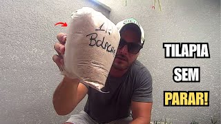 Esse é o Segredo para Fazer a Melhor Pescaria de TILÀPIA da sua VIDA!