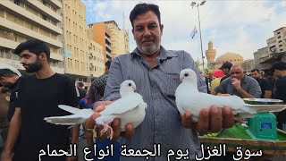 سوق الغزل يوم الجمعة انواع الحمام مع الأسعار مال مطيار وحمام زينة