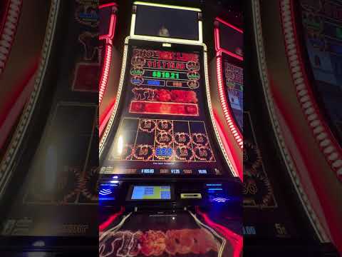 Ng game play win last match today #casino #gameplay #ngslot #gamer #like #games #subscribe #usa