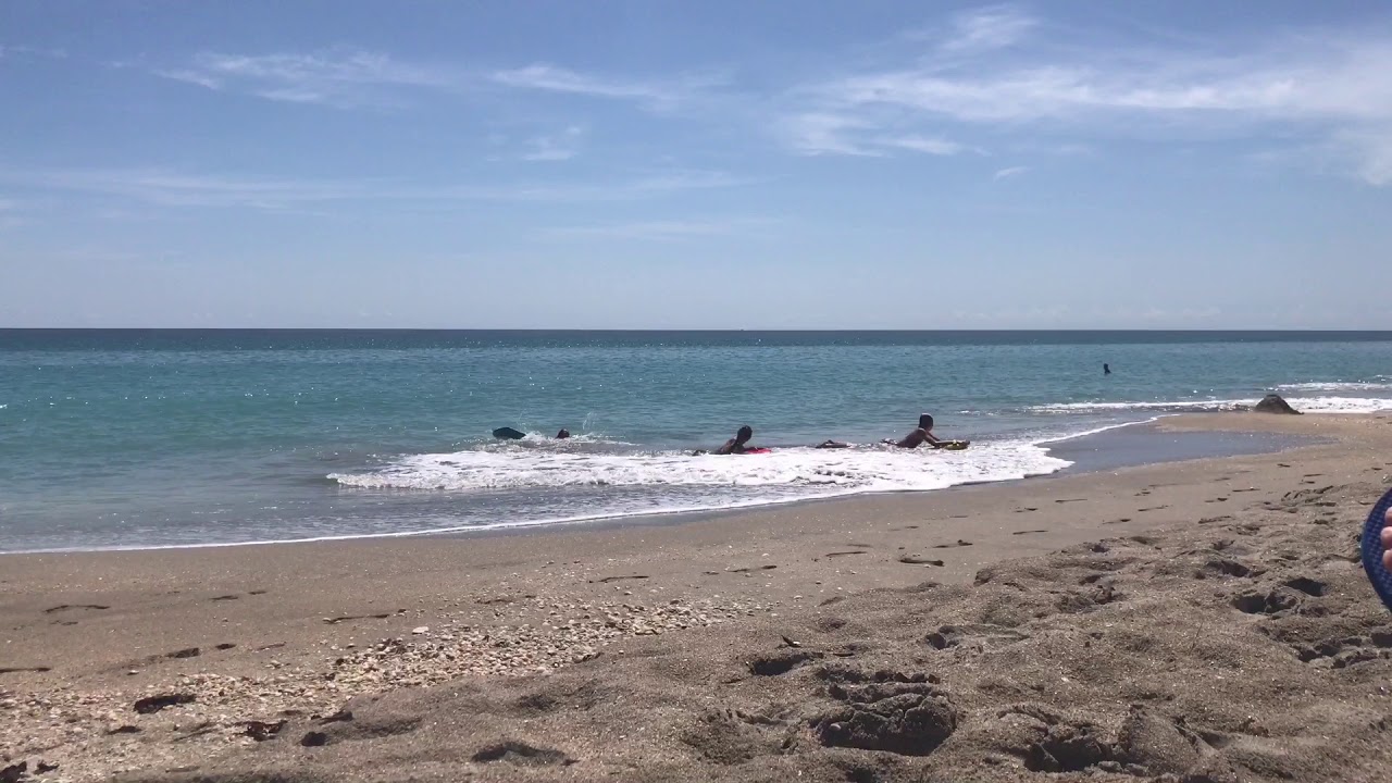 Another beautiful Beach day - w/ Cosi , Savi , us & Kehlen @ Tiger Shores Beach Stuart