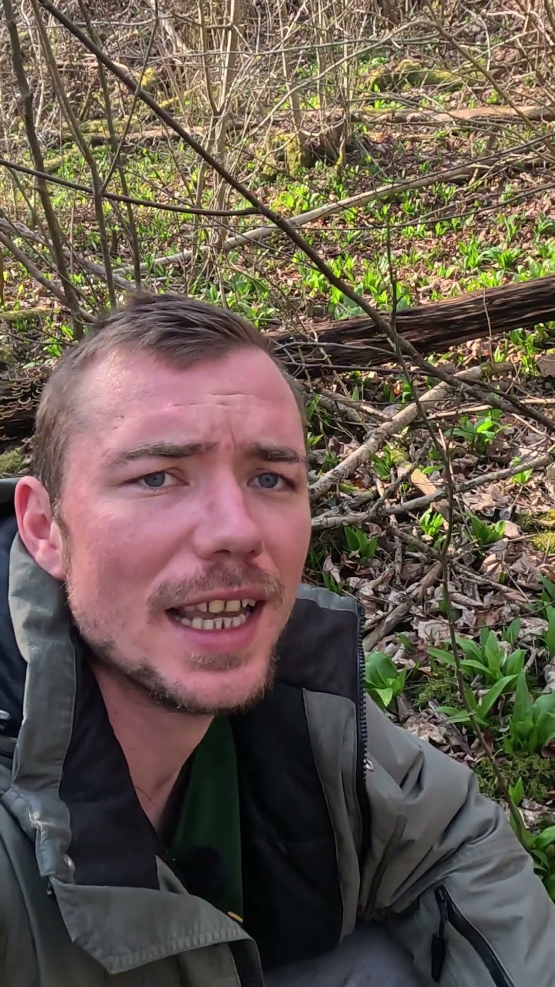 Jetzt Bärlauch pflücken! 🌿 März ist die beste Zeit! 🕐 - YouTube