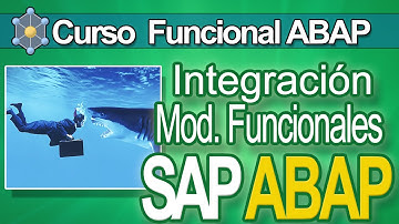 ABAP Master Funcional Gratuito- Tutorial Integración en los Módulos de SAP | CVOSOFT.com