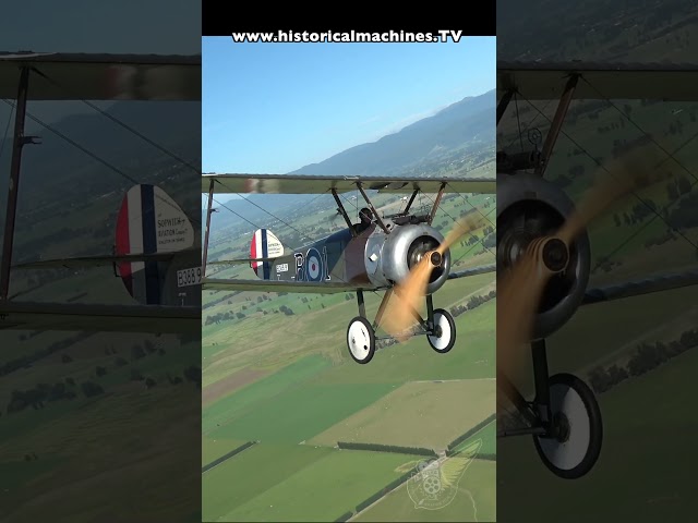 Sopwith Camel In The Air